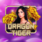 Dragon Tiger black scatter app casino